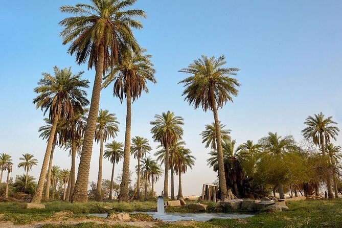 A tour in Al Ahsa the largest Oasis in the world - Is $175 per person fair value?