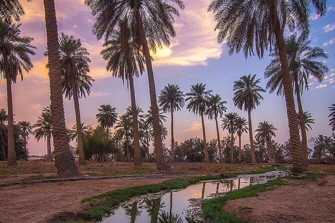 A tour in Al Ahsa the largest Oasis in the world - Qaisariah Souq: one hour among covered stalls