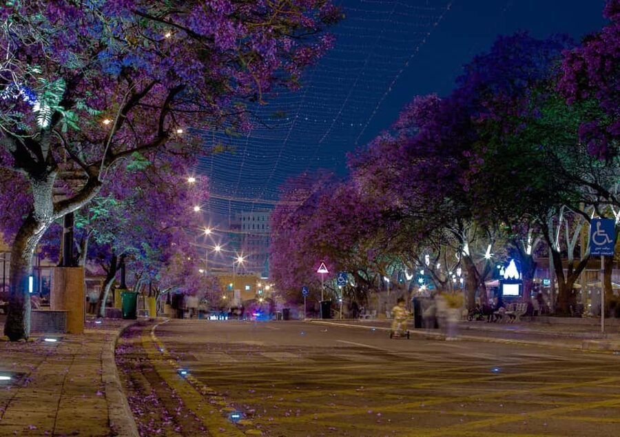 Abha City Tour & Rijal Almaa - Timing, comfort, and who should book
