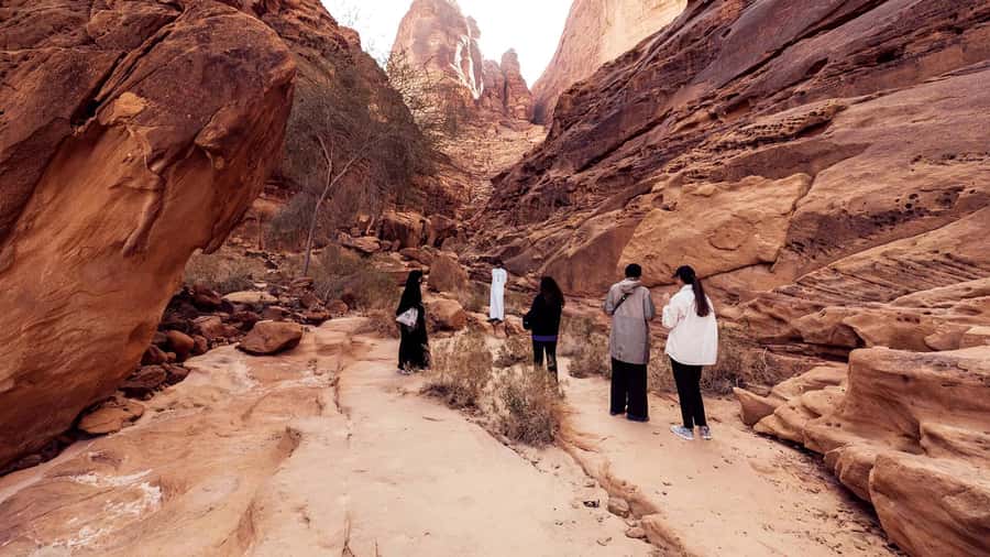 Al Ula: Dadan and Jabal Ikmah Tombs Guided Tour - How the guide and group setup affect the visit