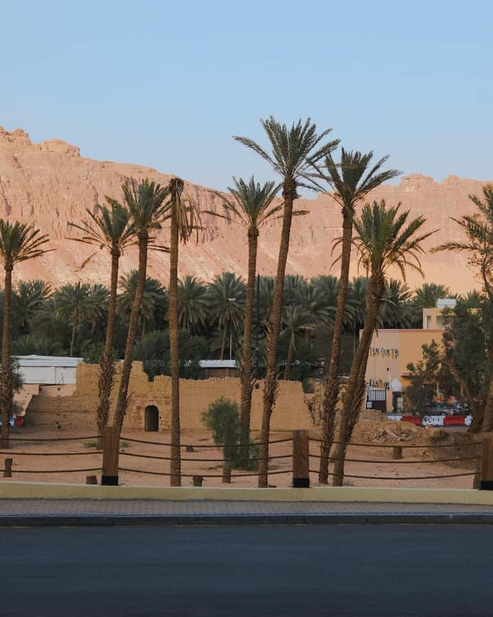 AlUla: Discover AlUla Like a Local Guided Tour - What the $296 price really includes
