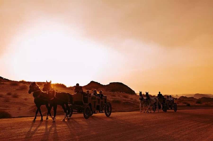 AlUla: Hegra After Dark Show with Chariot Ride - Comfort, clothing, and practical limits