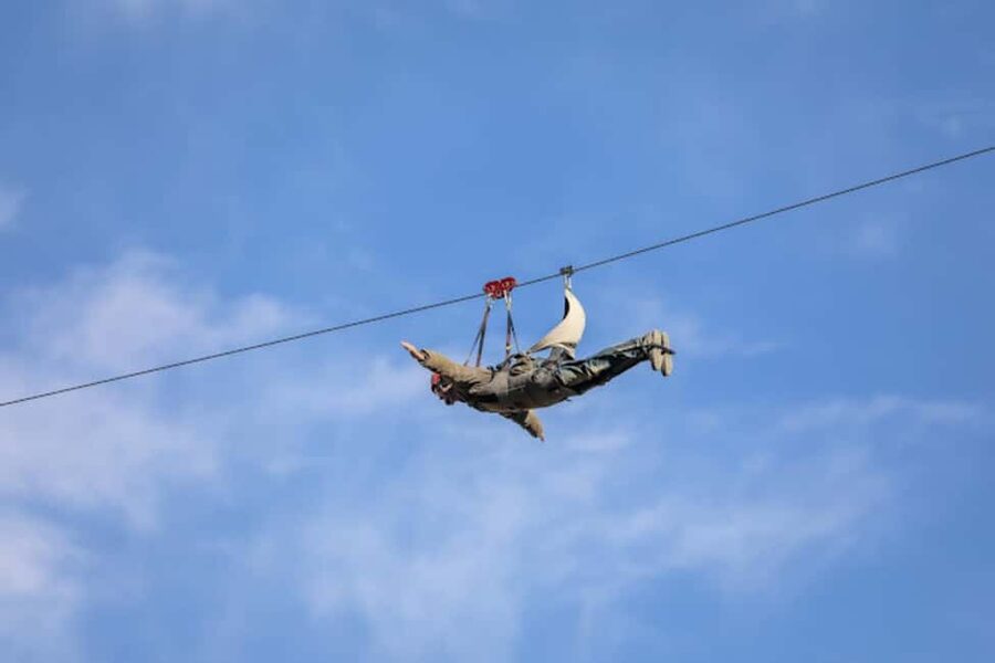 AlUla: Private Zipline Experience - The AlUla Zipline at a Glance