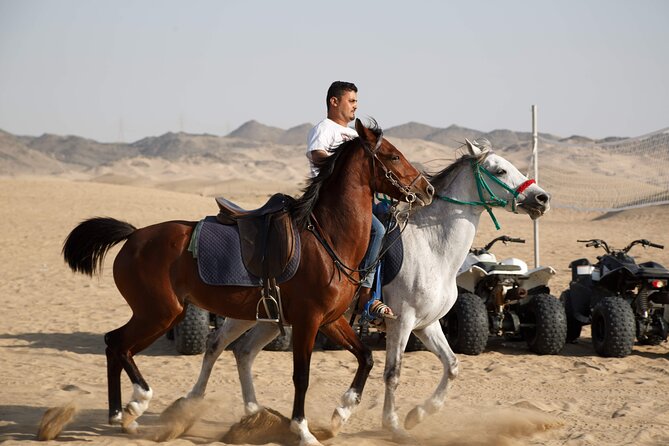 Desert Safari with Quad Bike Tours Jeddah - What Is Included for $249?