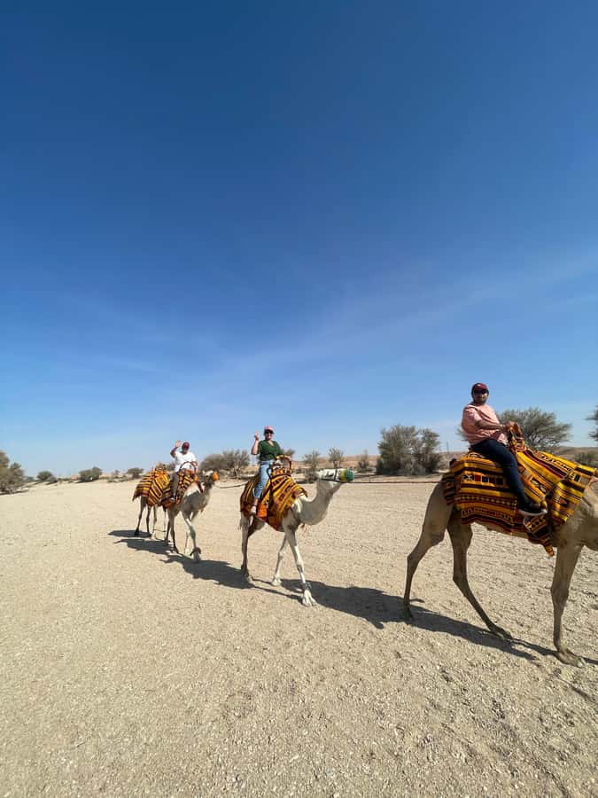 Edge of The World Riyadh,Camel Ride ,Bat Cave Visit & Dinner - The camel ride: traditional, but short