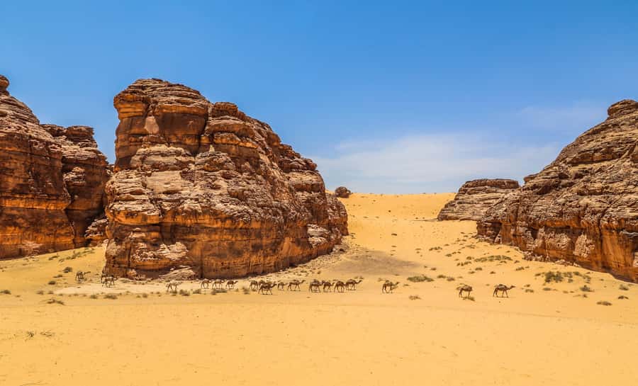 From AlUla: Hegra Tour - The bus ride and the shape of the visit