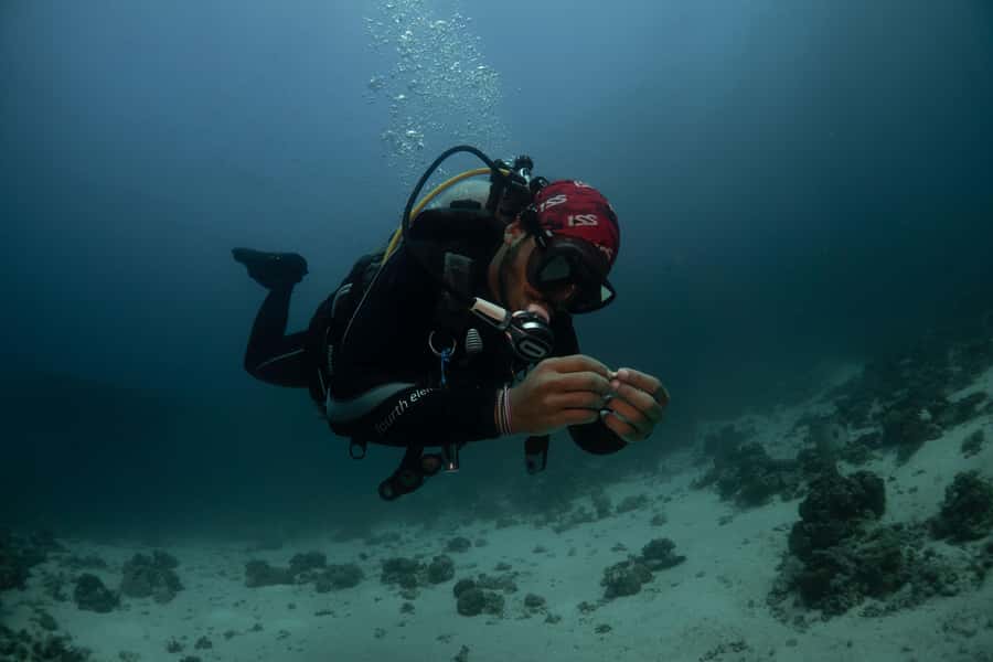 From Jeddah: Boat Trip and Diving for Certified Divers - The ride back and group atmosphere
