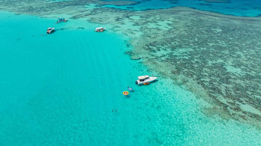 From Jeddah: Private Sea Trip to Bayadah Island - Snorkeling with equipment and an instructor
