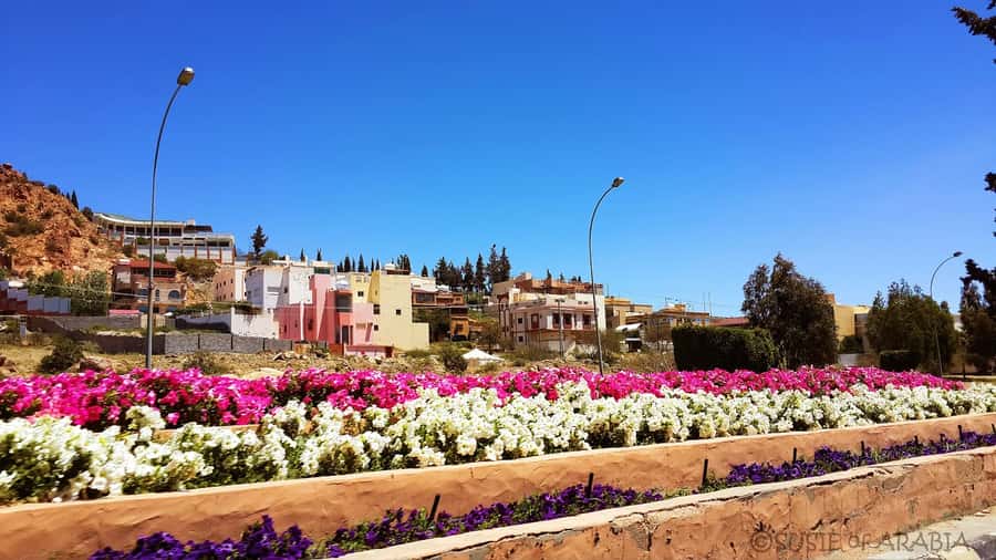 From Jeddah: Taif Day Tour - Why Taif makes a good escape from Jeddah