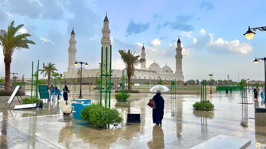 From Madinah: Half-Day Ziarah Tour - Key points to know before booking