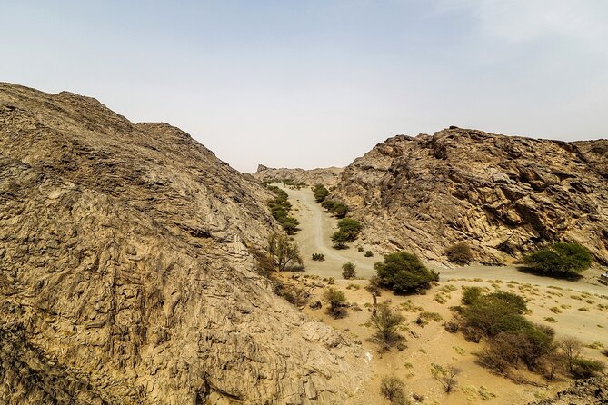 Full-Day Ancient Mysteries of Central Arabia Tour with Lunch - Wadis, acacia trees, and more rock carvings