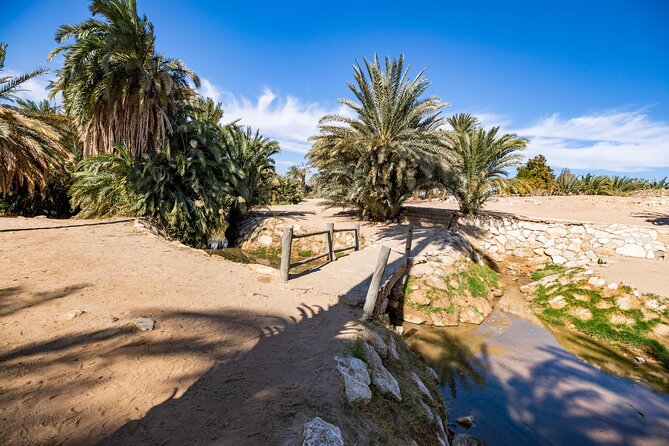 Full day Jabal Al Lawz with Biblical Sites visit - What the $860 price really buys you