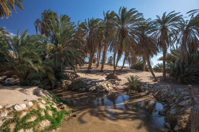Full day Jabal Al Lawz with Biblical Sites visit - Guide service and the practical side of the day