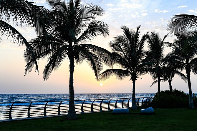 Half Day Jeddah Traditional City Tour - Superdome and the Islamic Art Museum