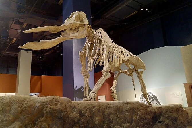 Half Day Tour Discovering the History of Riyadh - The National Museum takes you from prehistory to the kingdom
