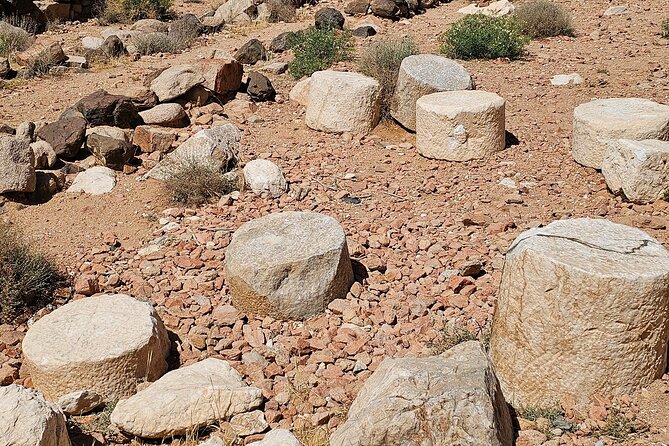 Historical Landmark in Tabuk Region Full Day Tour - The Long Road From Tabuk to Al-Bad