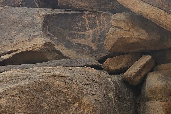 Historical Landmark in Tabuk Region Full Day Tour - Magha’er Shuaib and the Wells of Jethro