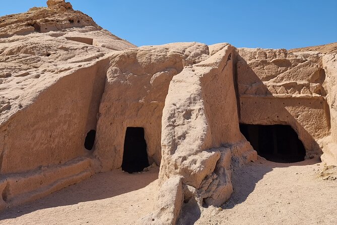Historical Landmark in Tabuk Region Full Day Tour - Lunch, Comfort, and the Private Vehicle
