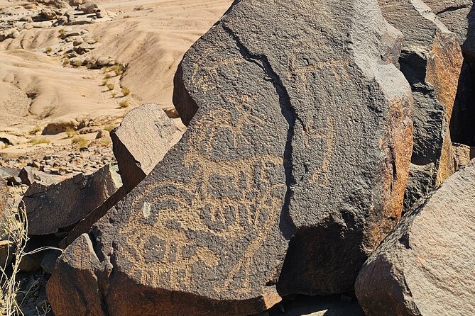 Historical Landmark in Tabuk Region Full Day Tour - What Adel Adds to the Day
