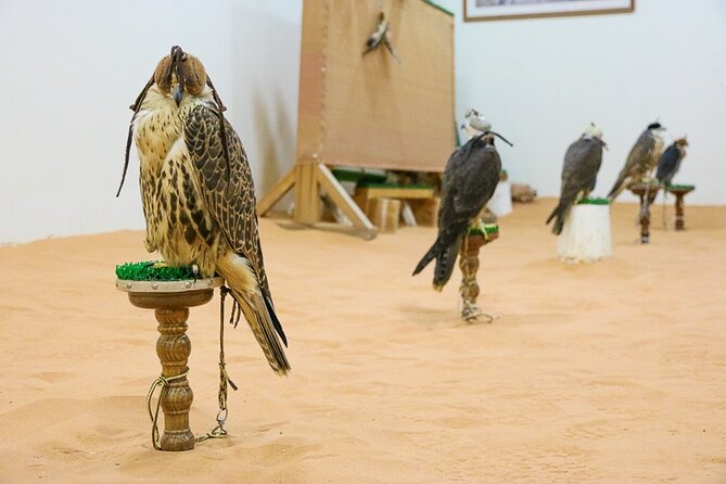 Historical Riyadh Self-Guided Audio Walking Tour - Al Safat and the changing shape of Riyadh