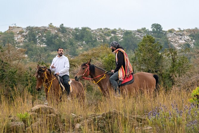Horse Riding Experience in Riyadh | Tanomah | Jeddah | Al Ula - What the one-hour ride is really like