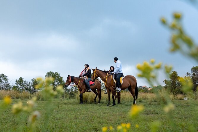 Horse Riding Experience in Riyadh | Tanomah | Jeddah | Al Ula - Who will enjoy this experience most?