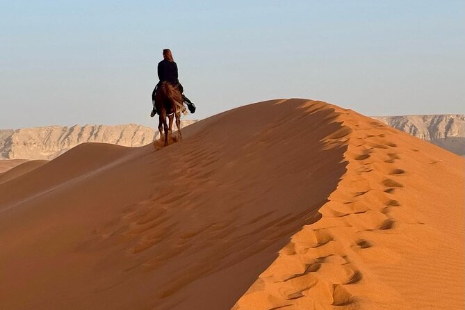 Horse Riding Experience in Riyadh | Tanomah | Jeddah | Al Ula - Riyadh: red sand, dunes, and open desert