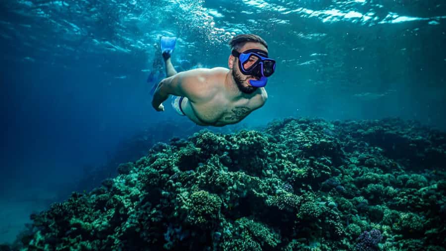 Jeddah: Guided Snorkeling Trip with Snacks and Drinks - Key points to know before you book