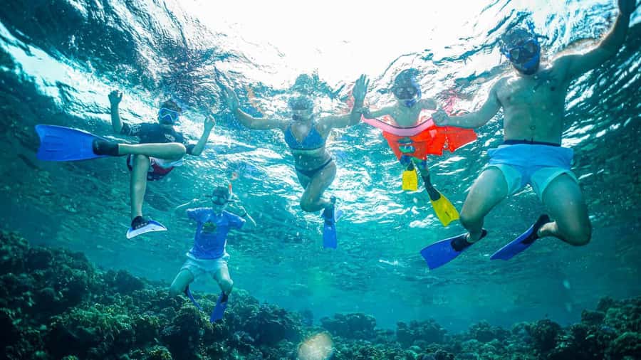 Jeddah: Guided Snorkeling Trip with Snacks and Drinks - Reaching the Red Sea from Jeddah
