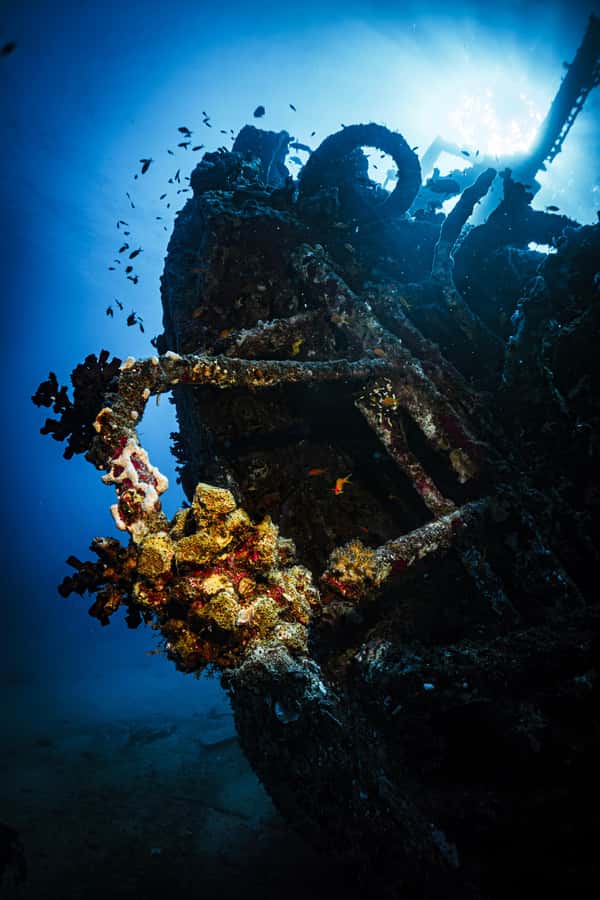 Jeddah: Guided Snorkeling Trip with Snacks and Drinks - Practical preparation for a smoother day