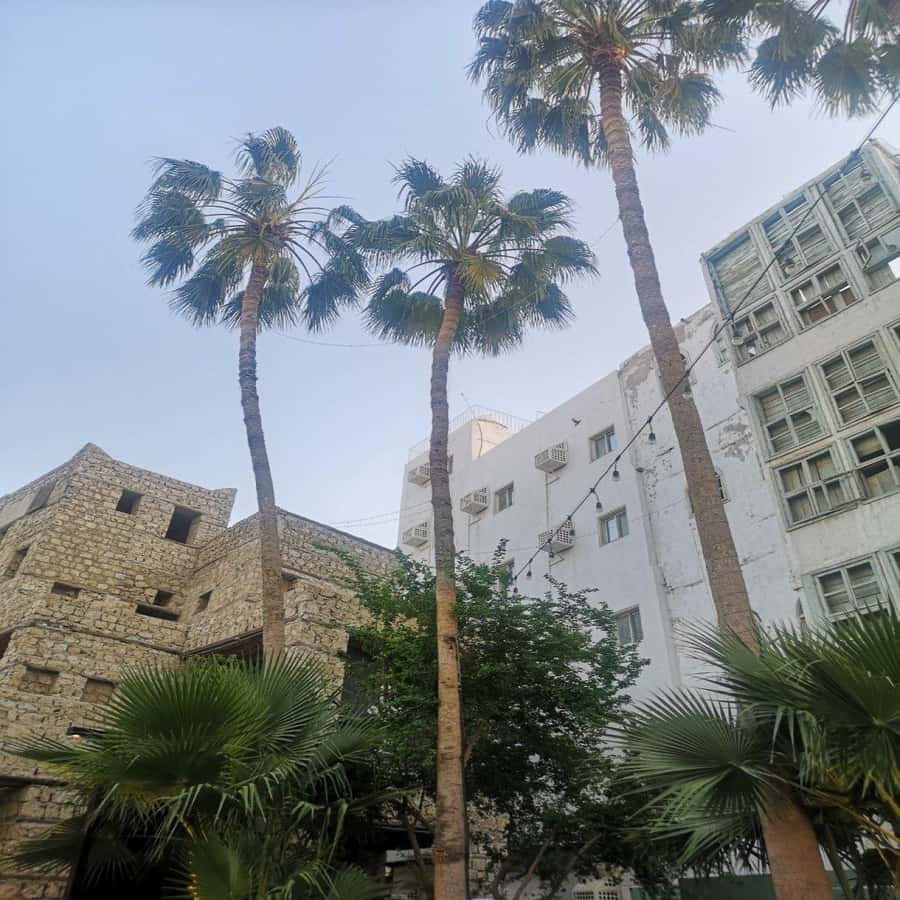 Jeddah: Historic District Tour by a Local licensed Guide - Two hours among Al-Balad’s lanes