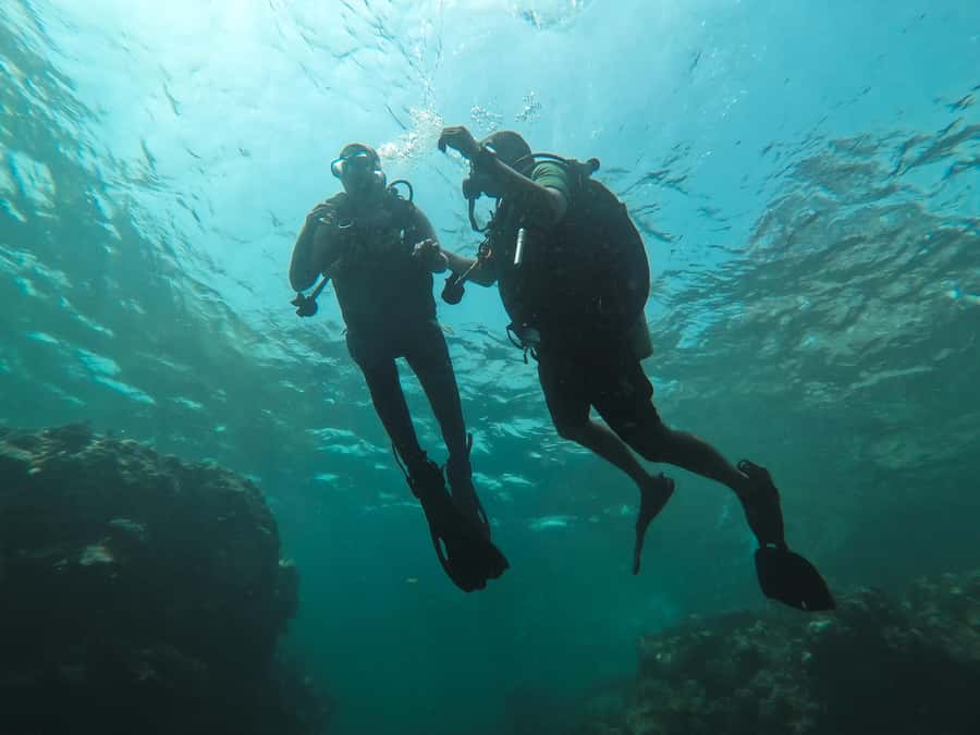 Jeddah: Red sea shore diving (Discovery) - What the Jeddah Red Sea outing actually offers