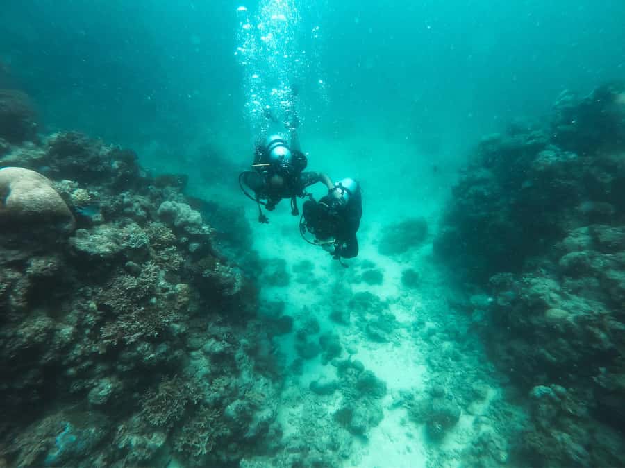 Jeddah: Red sea shore diving (Discovery) - Learning the gear and underwater signals