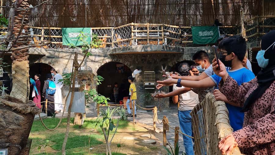 Madina: Guided Tour of the City's Historical Sights - The Battle of the Trench and the Seven Mosques