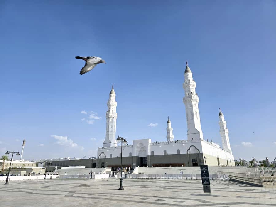 Madinah Culture & History Tour – Led by Local Guide - Gharas Well and the changing final stop