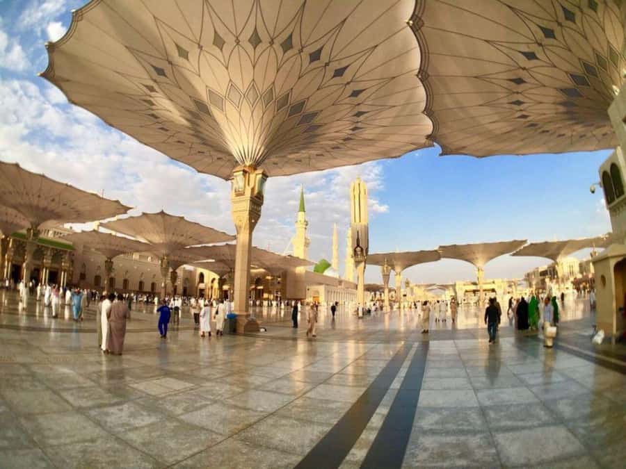 Medina Ziyarats ( Visit Holy Places) - How the private format affects the experience