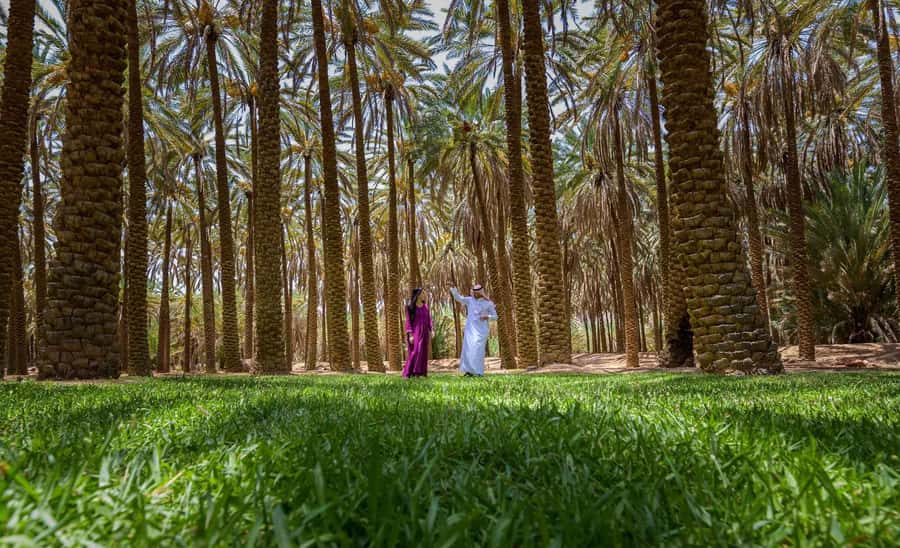 Oasis Adventure in Alula - Walking into AlUla’s green heart