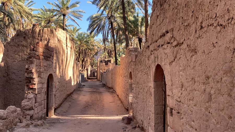 Oasis Adventure in Alula - The views and photo stops