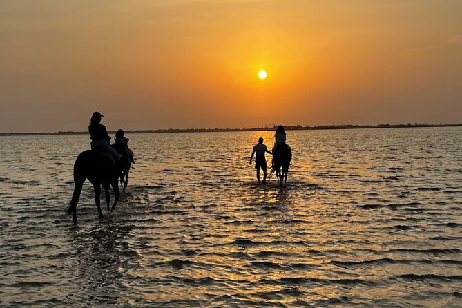 Private Horse Riding Experience at Red Sea - Key points to know before you book