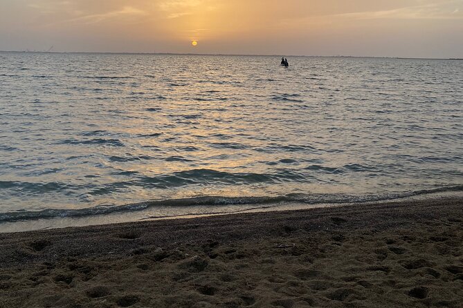 Private Horse Riding Experience at Red Sea - From Hooves Stud to the Red Sea