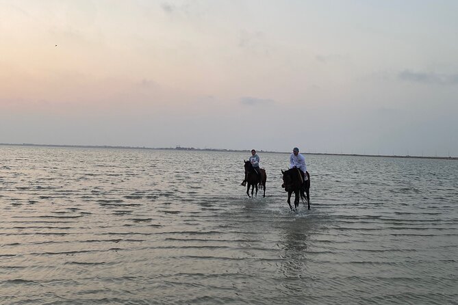 Private Horse Riding Experience at Red Sea - What $90 buys you
