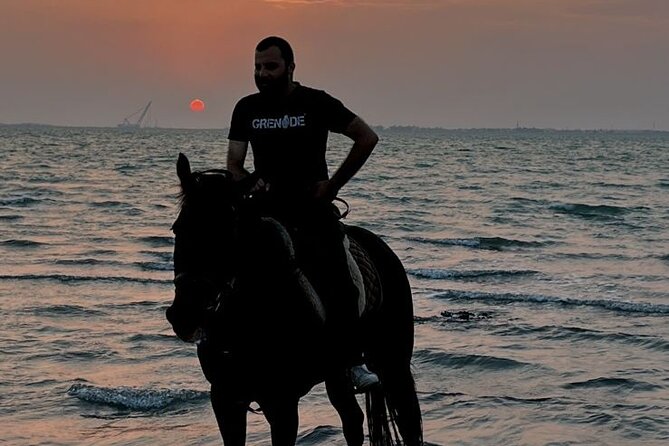 Private Horse Riding Experience at Red Sea - Timing, weather, and practical planning