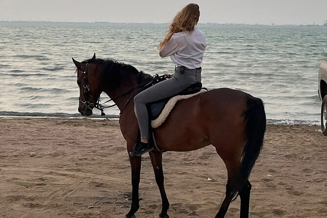 Private Horse Riding Experience at Red Sea - Who will enjoy this ride most