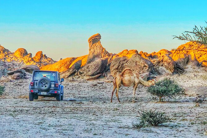 Private Moon Valley Hike Experience in Jeddah - Key points at a glance