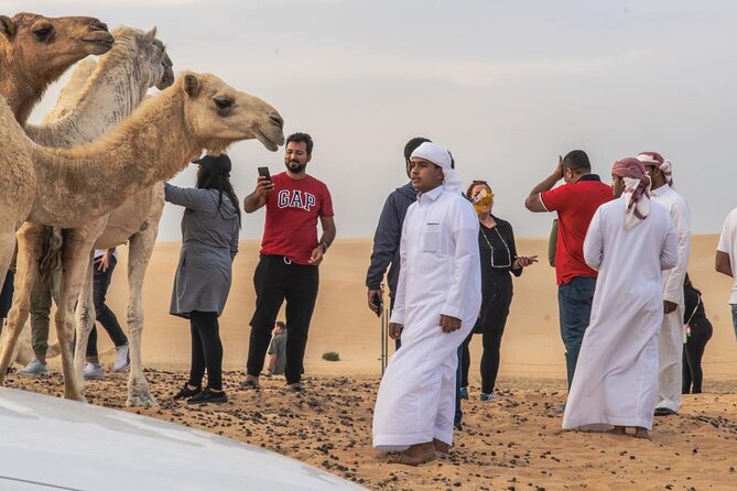 Private Morning Desert Safari with Quad Bike Tours Jeddah - Dune Bashing: A Short, Fast Burst of Adrenaline
