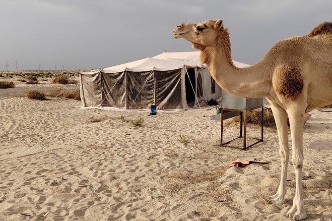 Private Tour to the Yellow Lake and Sand Dunes - Coffee, dates, and the food options