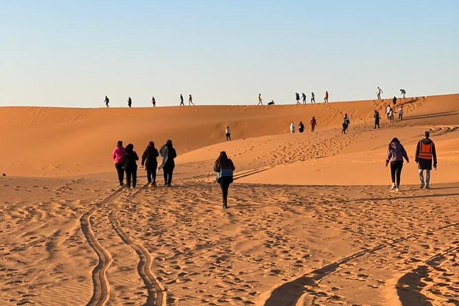 Red Sand Dunes Tour with Camel Ride ,Quad Biking, Heritage House - Dune bashing with a licensed desert driver