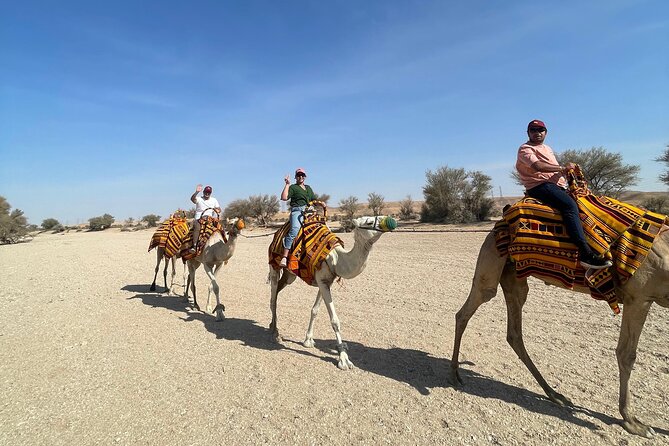 Riyadh City Tour with Camel Riding - What Makes This Riyadh Tour Special