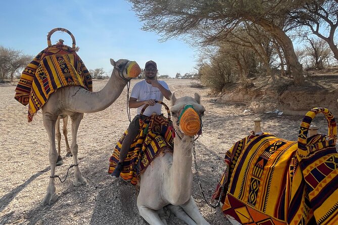 Riyadh City Tour with Camel Riding - The Big Picture: Eight and a Half Hours in Najd