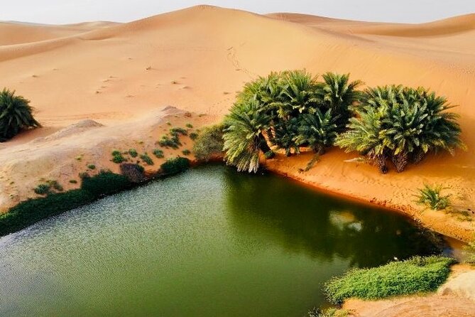 Riyadh City Tour with Camel Riding - Oasis Lake: Sand, Water, and Evening Light